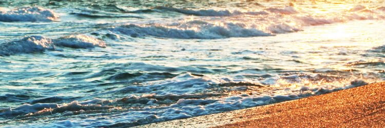 _carolinam123's profile banner image