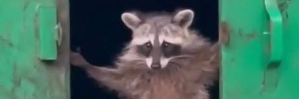 feeppov Profile Banner