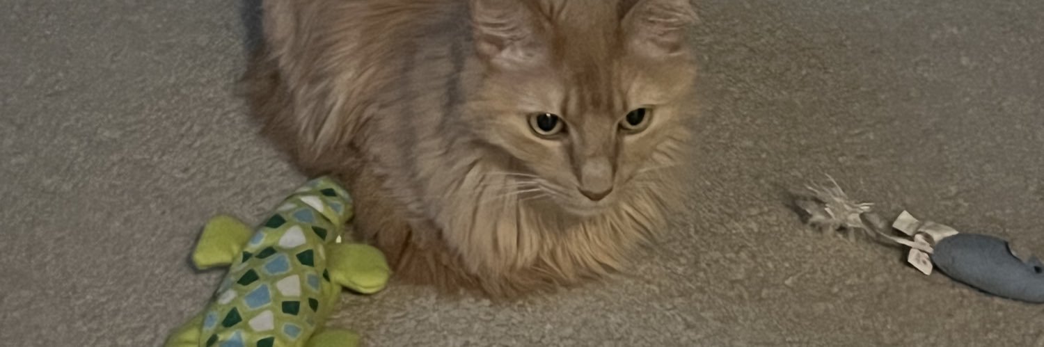 ThomasTheSpankEngine banner