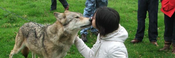 R_Tikky Profile Banner