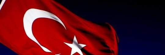 Ayşın Bengü 🎨🎨🎨 banner