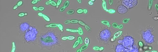 microverse_exc Profile Banner