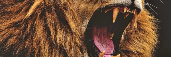 INPrimeMinister Profile Banner