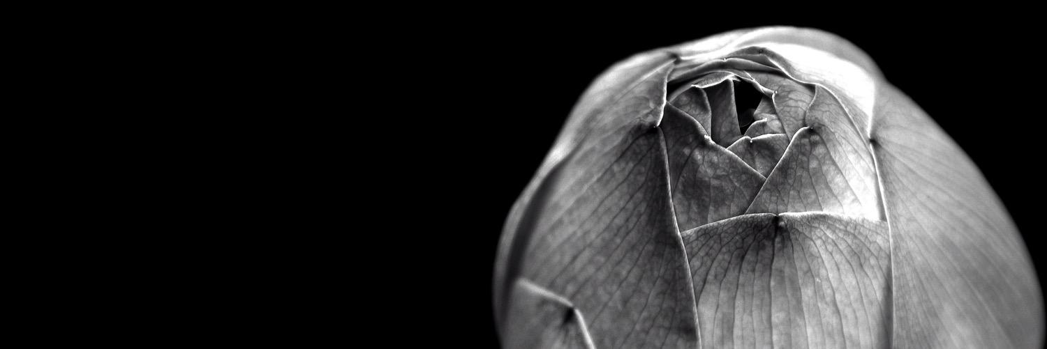 aliboyd9596's profile banner image