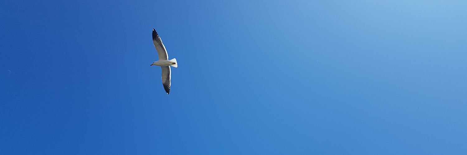 Coni Méndez K. banner