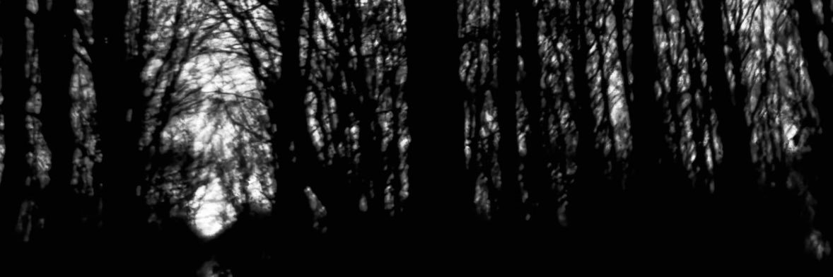 mazezØ banner