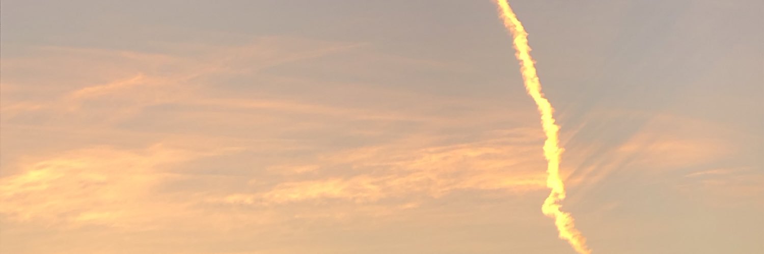 Cibbi61's profile banner image