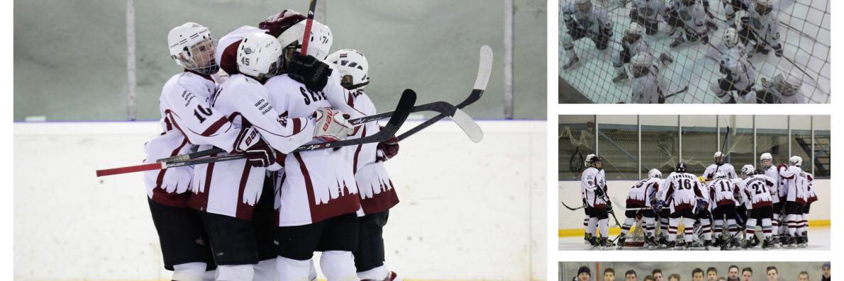 Raimonds Vitolins banner