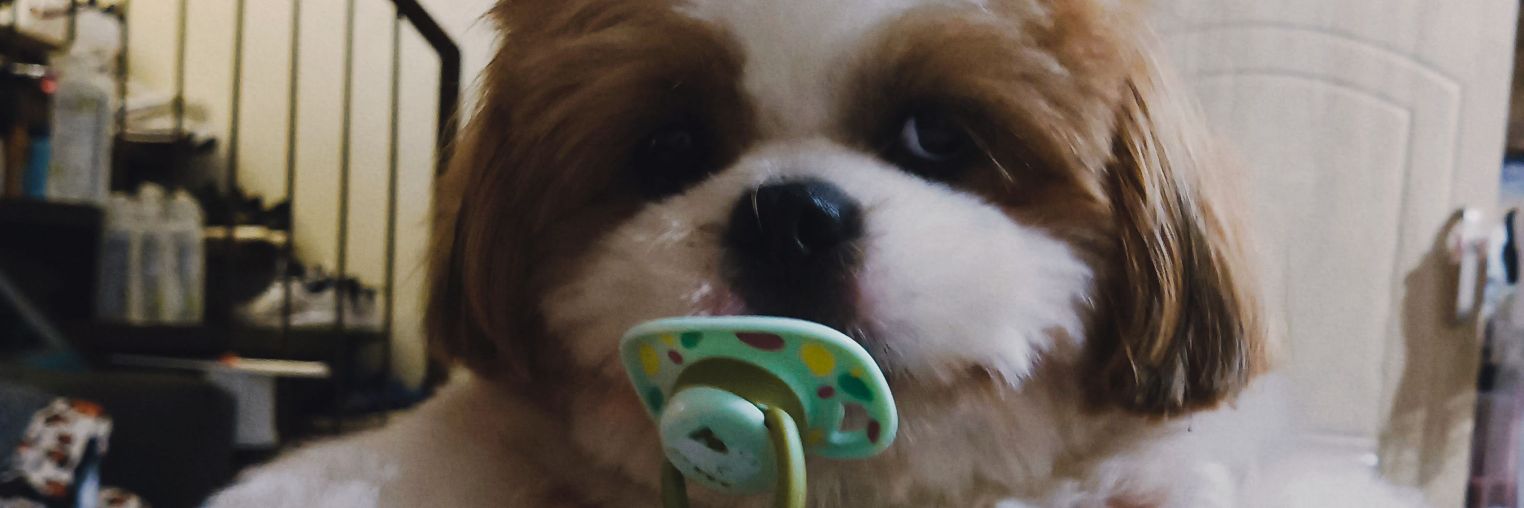 jnlmr_'s profile banner image