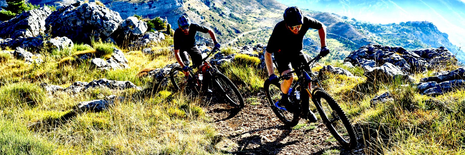 ebikes-international's banner