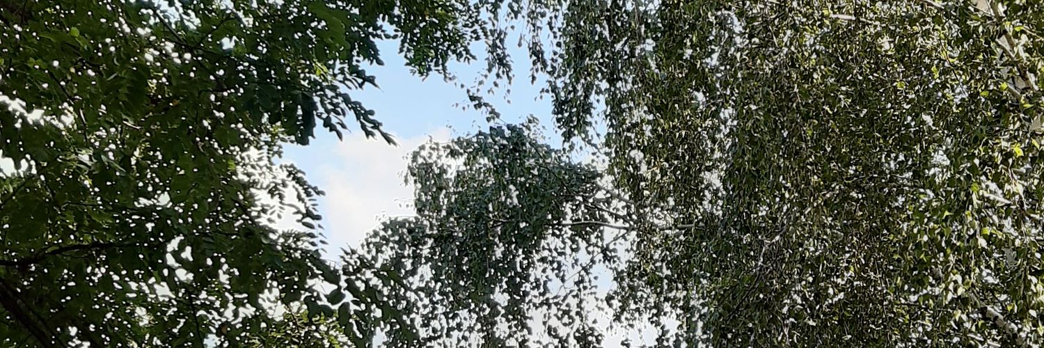 stewoolla's profile banner image