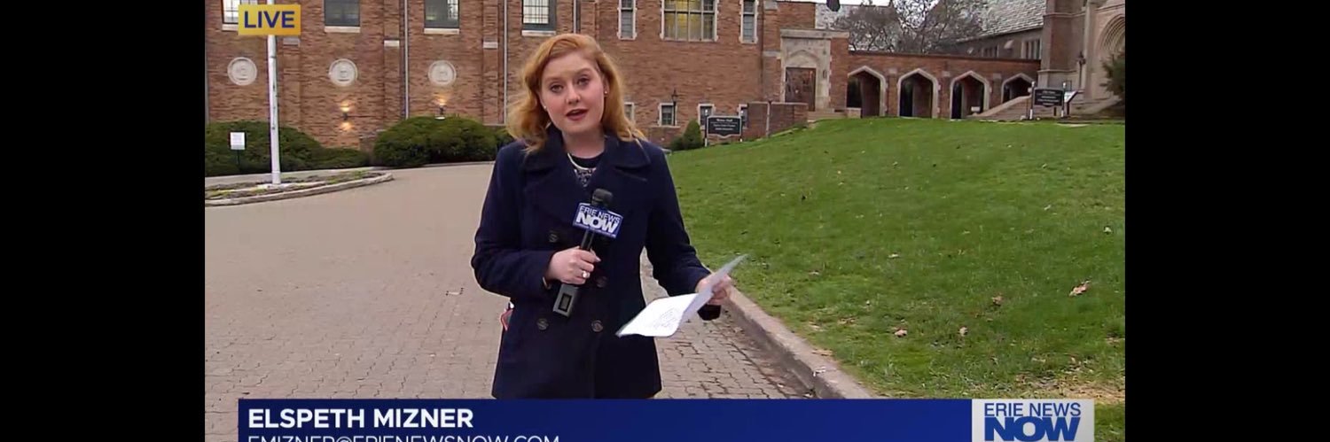 Elspeth Mizner banner