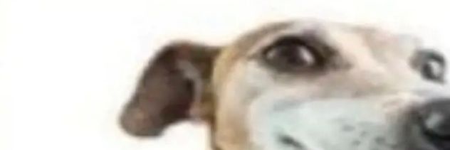 Not80R's profile banner image