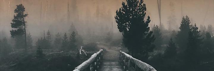 D.W banner