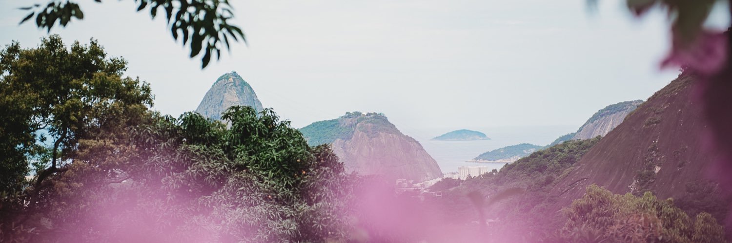 amanda lacerda banner