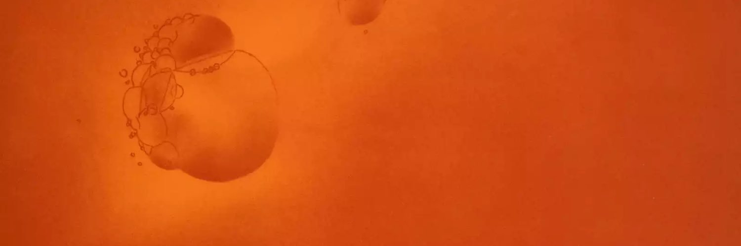 rickweiber's profile banner image