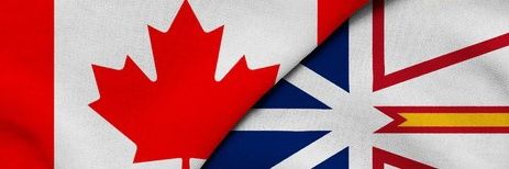 Newfie man banner