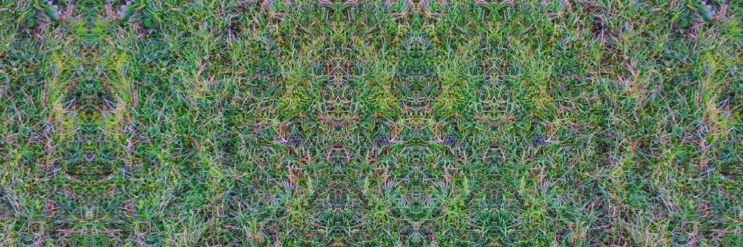 njmcgee's profile banner image