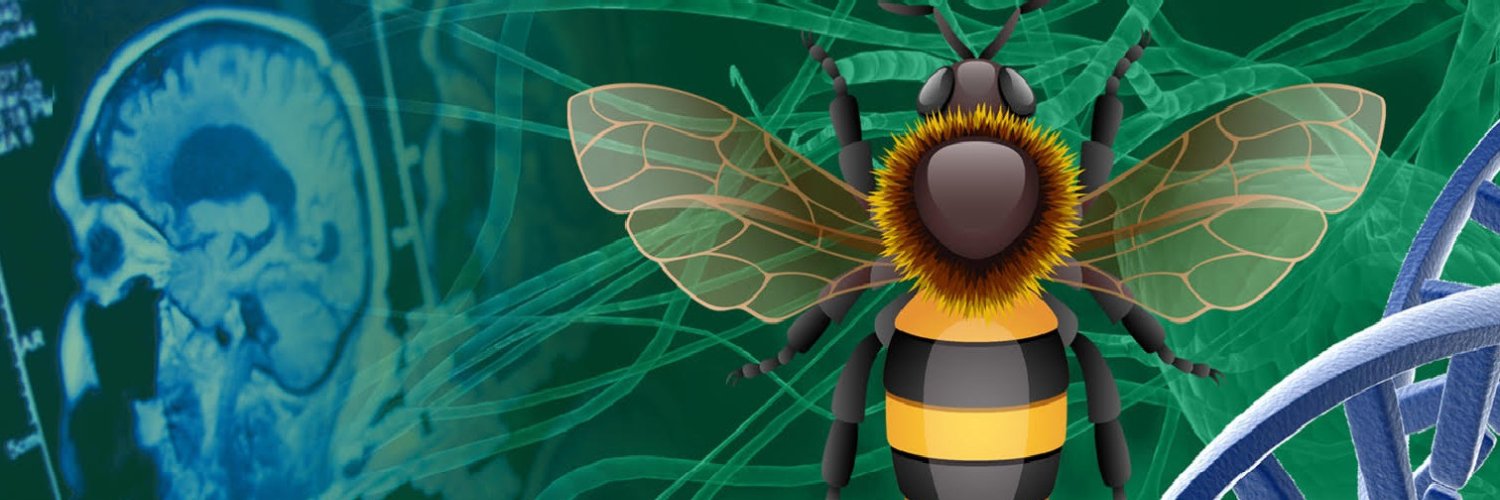 ConsortiumLawValues banner