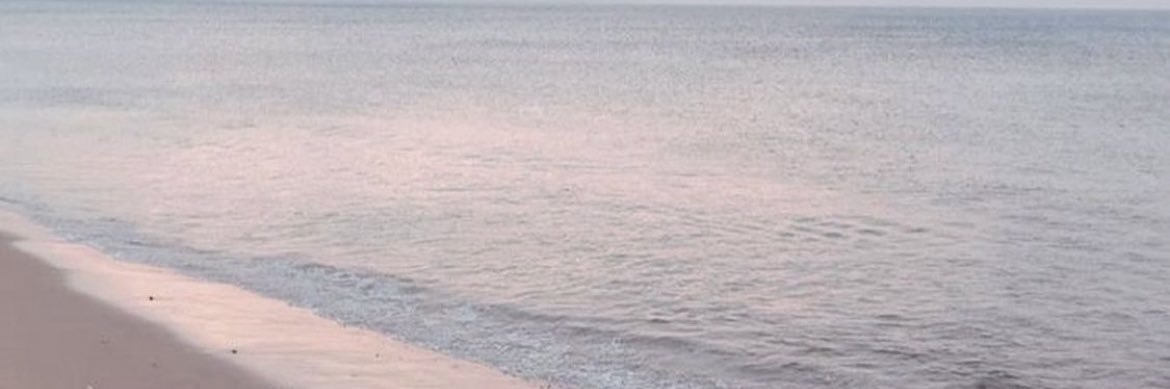 🪽 banner