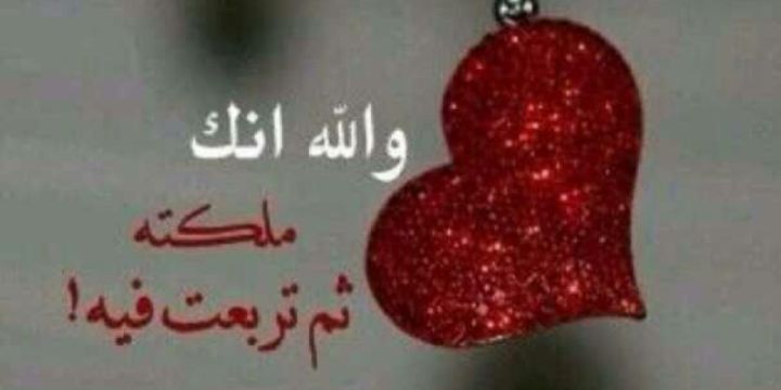 abdalrzag1122's profile banner image