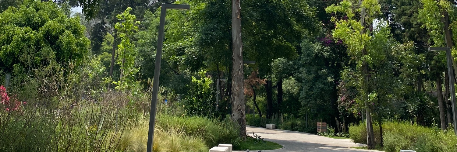 Paola Rebeca Arteaga banner