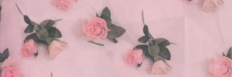 Snowprincess1 banner