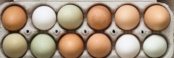 BasilBandwagon Profile Banner