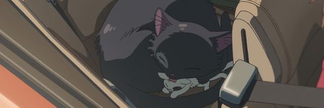 zzzpaw's profile banner image