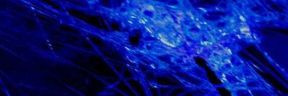 20eight banner