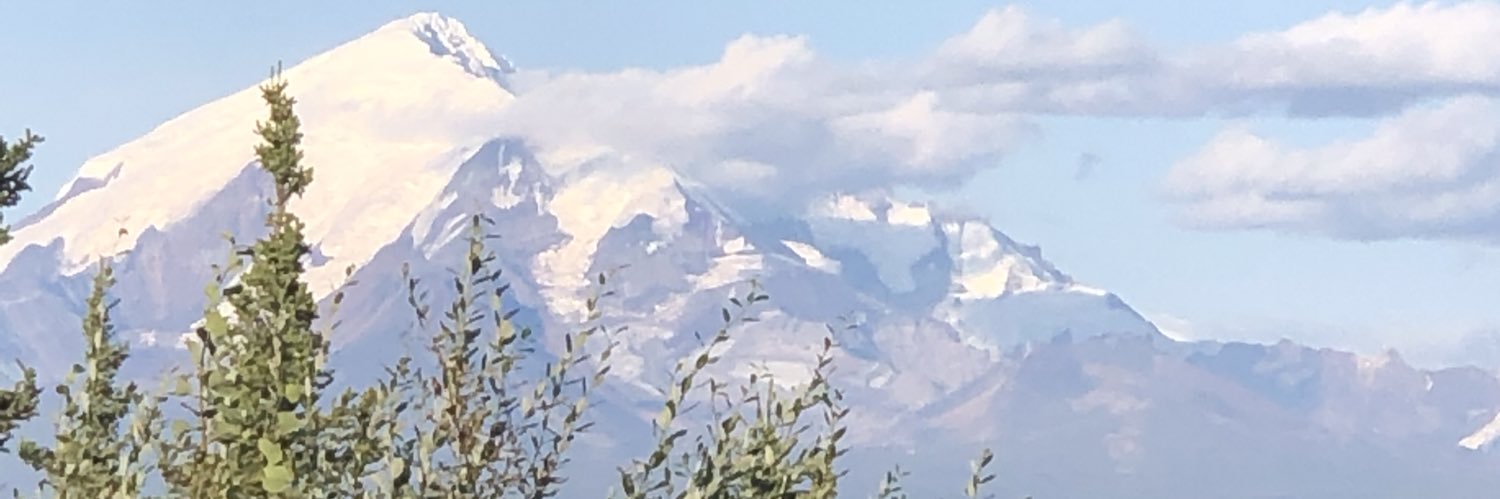 Therese Ashton banner