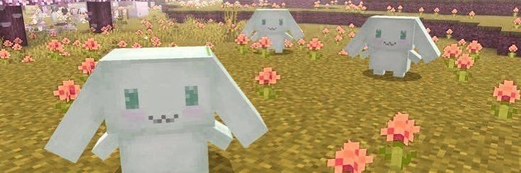 marcieloop's profile banner image