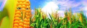 rozalk's profile banner image