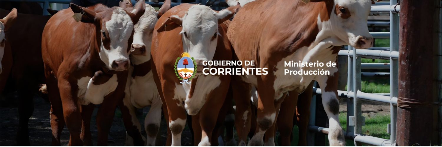 Ministerio de Producción de Corrientes banner
