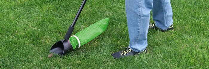 Yo Gamma Gamma The Brass Age Flufferbot banner