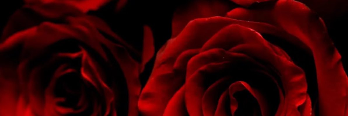 asooma_181's profile banner image