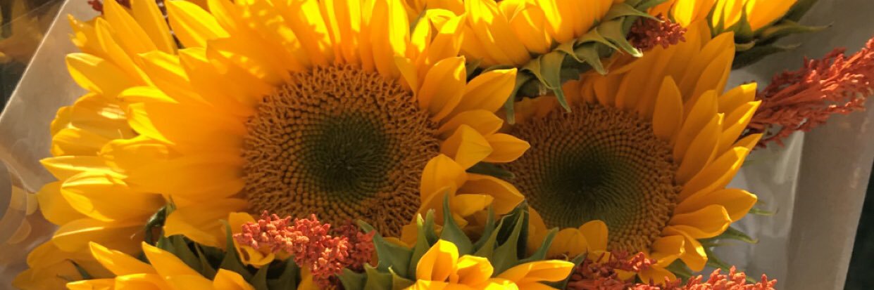 Lisaaaa_sanchez's profile banner image