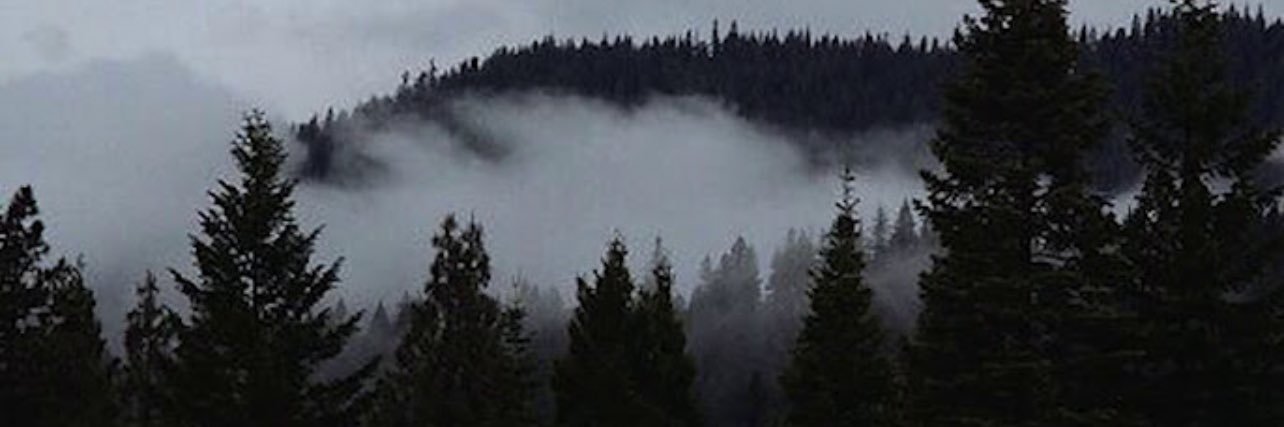 ClairyForever's profile banner image