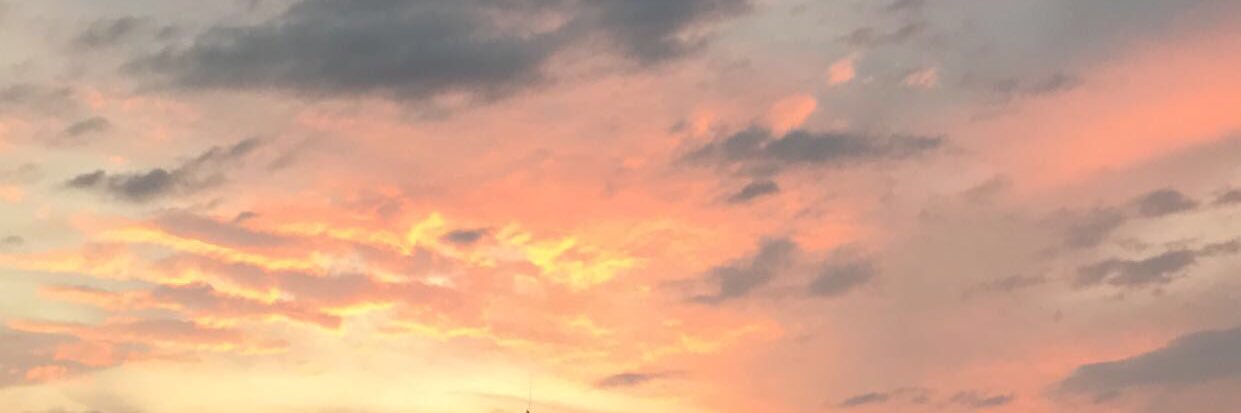 paulaavidal2's profile banner image