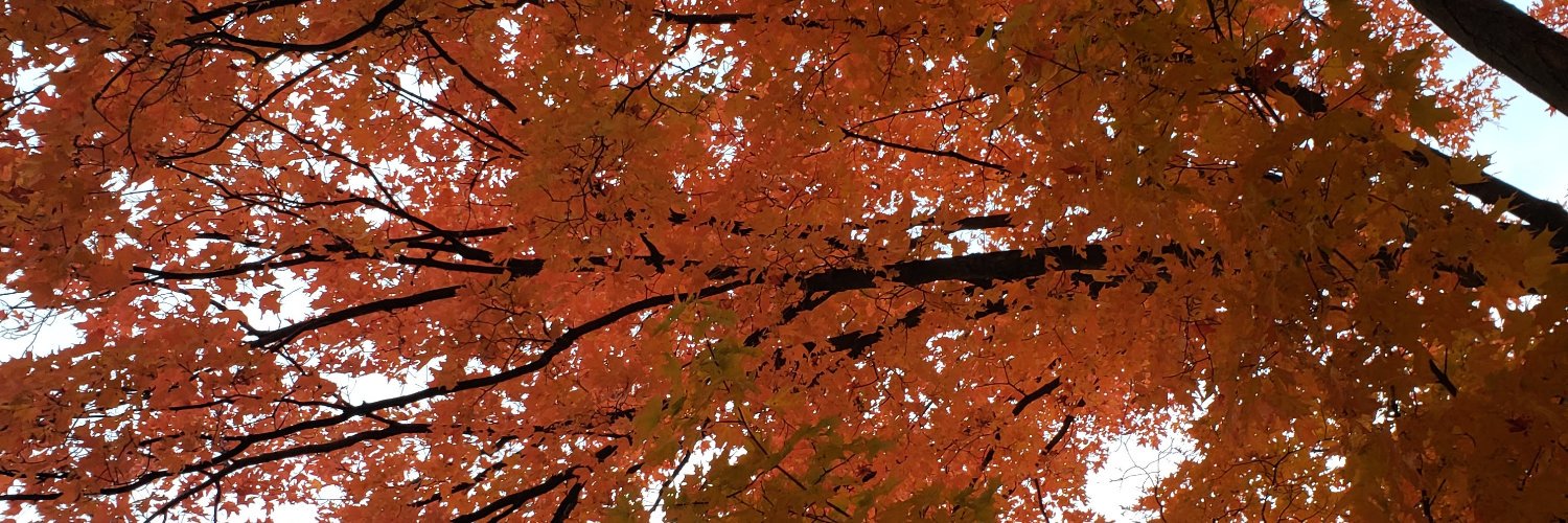 Rebecca Welzenbach banner