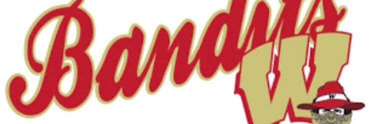 Wisconsin Bandits banner