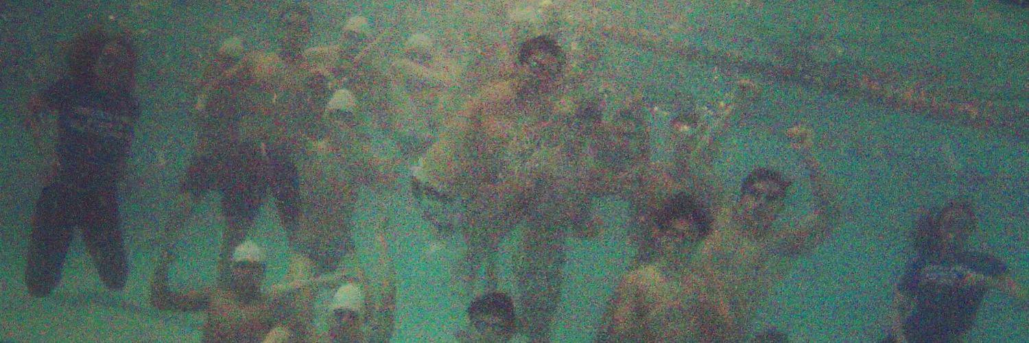 GriffinSwimming's profile banner image
