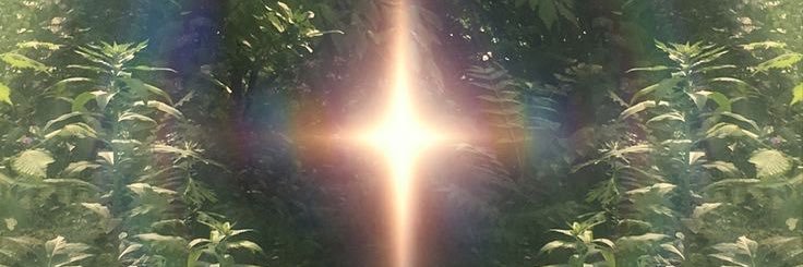 𝕻𝖎𝖈𝖔 banner