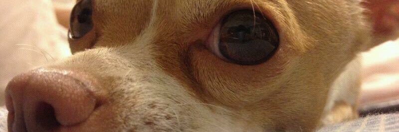 Julio_TenorioR's profile banner image