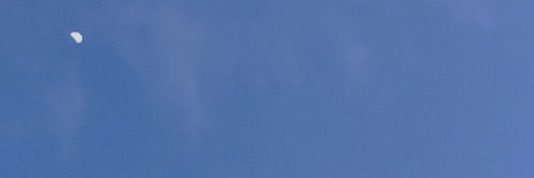 / banner