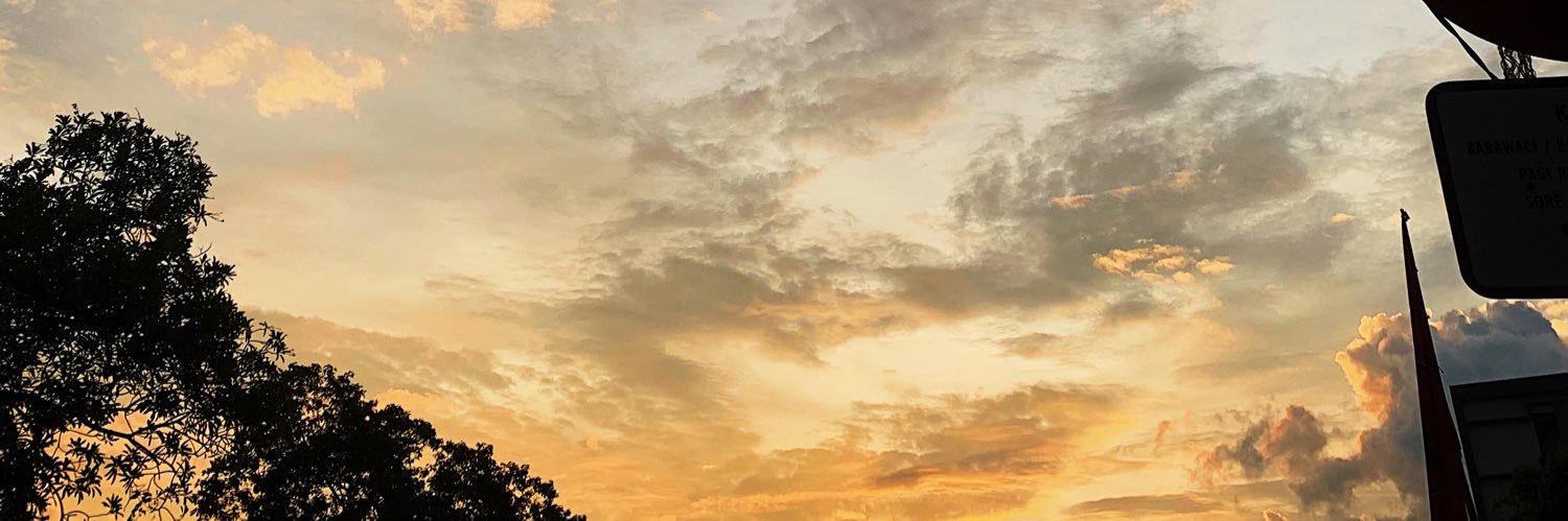 ydsy29_'s profile banner image