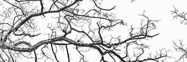 zab_ot's profile banner image