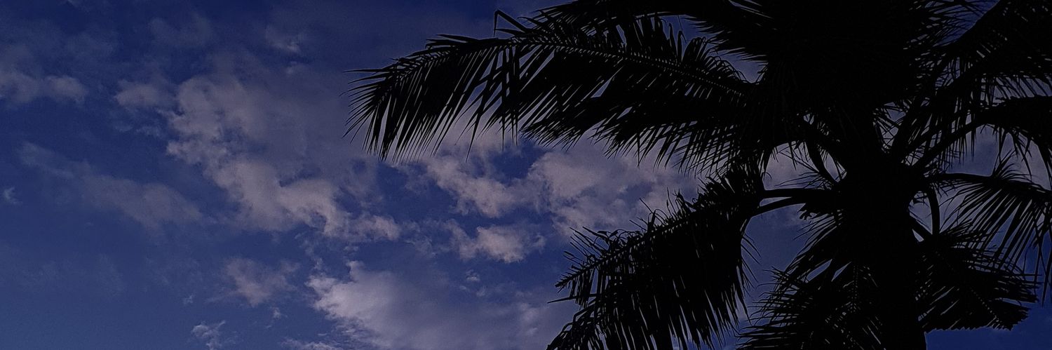 _.thepeacemaker._ banner