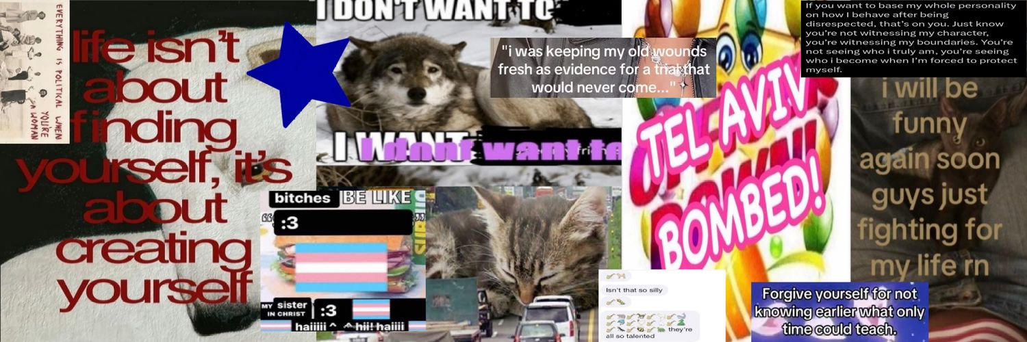 im baby kitty where is mama banner