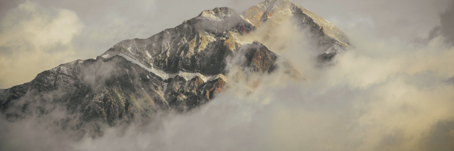 Data2Discovery's profile banner image